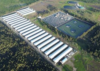 DECLARACIÓN PÚBLICA :  AGRÍCOLA Y GANADERA CHILLÁN VIEJO.