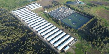 DECLARACIÓN PÚBLICA :  AGRÍCOLA Y GANADERA CHILLÁN VIEJO.