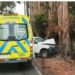ÚLTIMO MINUTO⚫️Mujer murió tras chocar con su camioneta contra árbol en camino a Cobquecura.