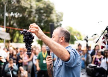 Ñuble regresa a Plaza Ñuñoa con la Santa Vendimia: vino, cultura y música para disfrutar.