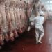 En la Región de Ñuble, la producción de carne en vara de ganado bovino presentó una disminución interanual de 11,2% en enero de 2026.