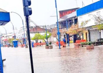 Entregan el balance de agua caida y nieve en las ultimas horas en Ñuble