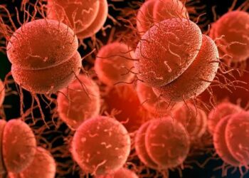 Autoridad sanitaria confirmó una persona fallecida por meningitis en Ñuble.