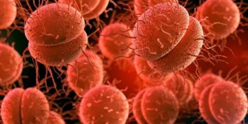 Autoridad sanitaria confirmó una persona fallecida por meningitis en Ñuble.