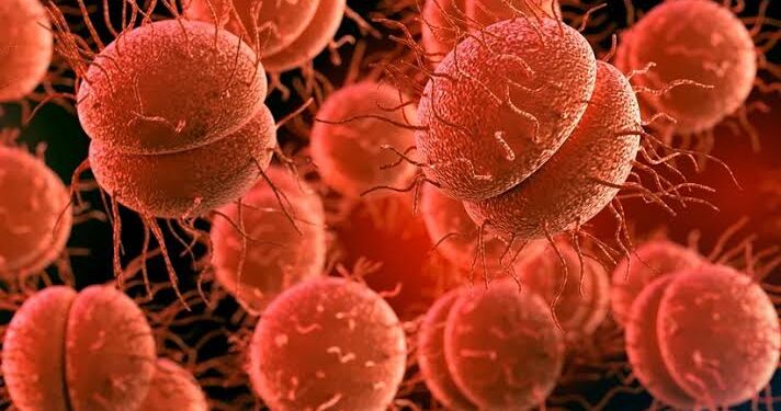 Autoridad sanitaria confirmó una persona fallecida por meningitis en Ñuble.