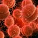 Autoridad sanitaria confirmó una persona fallecida por meningitis en Ñuble.