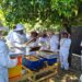 Sence promueve la producción apícola, con cursos ejecutados en tres comunas de Ñuble.