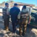 En ÑUBLE recuperan maquinaria robada.. hay un detenido.