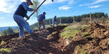 Abren convocatoria a cursos gratuitos para agricultores de la región de Ñuble.