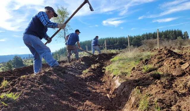 Abren convocatoria a cursos gratuitos para agricultores de la región de Ñuble.