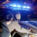 Dos hombres y una mujer son detenidos como posibles responsables de un asesinato en Chillán.