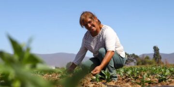 Consejo de la Sociedad Civil de la CNR y gremios del agro participaron en discusión del nuevo reglamento de la Ley de Riego.