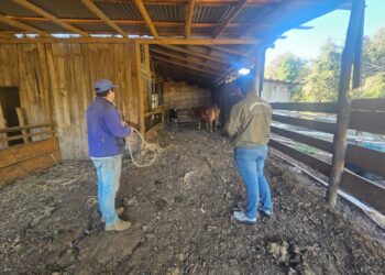 Novedades policiales desde Carabineros en sábado santo en Ñuble.
