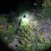 Carabineros rescató a 13 personas en sector cordillerano de Las Trancas durante el fin de semana