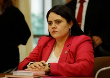 Diputada Sara Concha solicita mesa de trabajo por la seguridad en la educación.