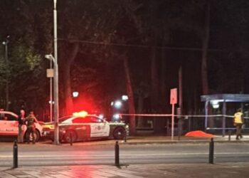 EN EL PARQUE DE CHILLAN VIEJO ENCUENTRAN PERSONA FALLECIDA.