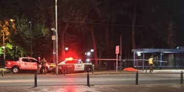 EN EL PARQUE DE CHILLAN VIEJO ENCUENTRAN PERSONA FALLECIDA.