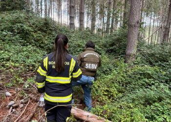 ÚLTIMO MINUTO ⚫️ Ahora encuentran sin vida a hombre desaparecido desde marzo en Ñuble.