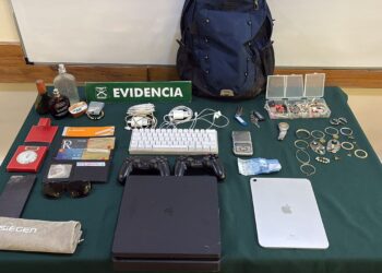 Te pillaron ‘Chanchito’, robando en una casa de Chillán.