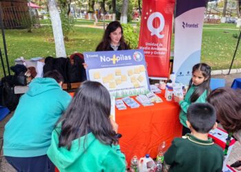 Campaña ‘No + Pilas’ de Quillón recolectó 100 kilos de pilas en desuso.
