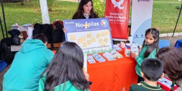 Campaña ‘No + Pilas’ de Quillón recolectó 100 kilos de pilas en desuso.