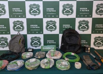 Chillán: Carabineros detuvo a sujeto por robo en lugar habitado