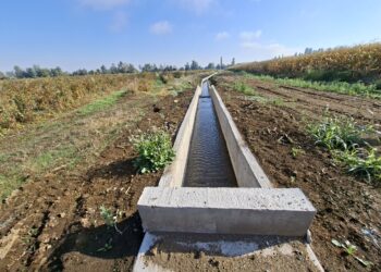 OBRAS DE RIEGO EN ÑUBLE BENEFICIARÁN A MÁS DE 115 AGRICULTORES Y MEJORARÁN LA SEGURIDAD HÍDRICA.