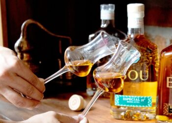 Licor chileno es elegido como el mejor del mundo.