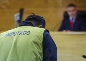Joven asesinó  a su conviviente, con un hacha en Ñuble.