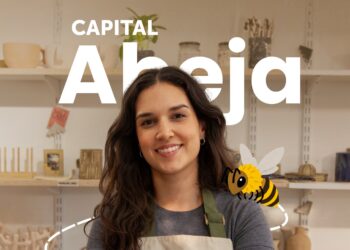 Sercotec abre postulaciones al Capital Abeja 2026 con financiamiento de $3,5 millones para emprendedoras de Ñuble.