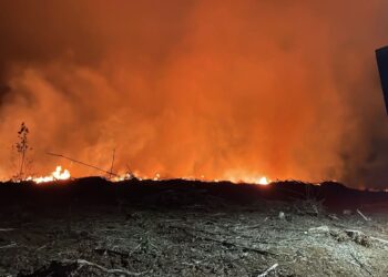 Preocupación generó incendio forestal esta madrugada en Coihueco.