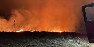 Preocupación generó incendio forestal esta madrugada en Coihueco.