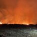 Preocupación generó incendio forestal esta madrugada en Coihueco.