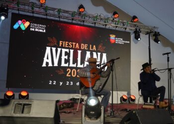 Con shows artístico y stands  la comuna de Pinto realiza la  Fiesta de la Avellana 2026🌰
