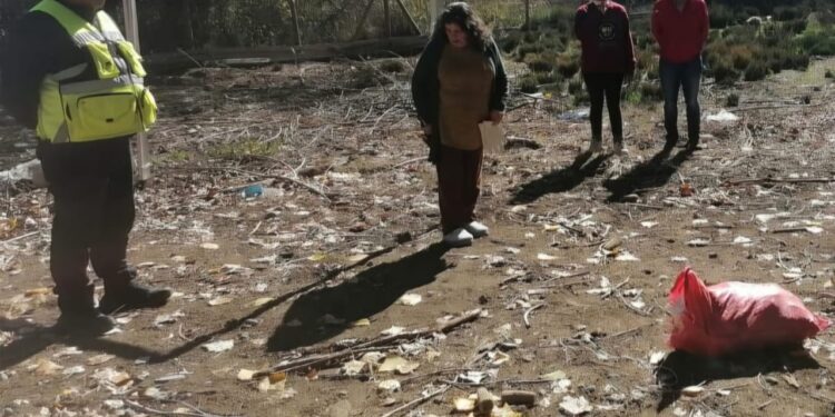 Jauría de perros deja varios animales muertos en una comuna de Ñuble.