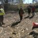 Jauría de perros deja varios animales muertos en una comuna de Ñuble.