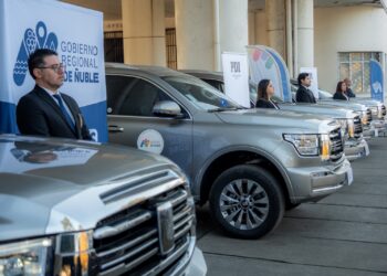Ahora fiscalizan el buen uso del pago automático del pasaje en la locomoción colectiva.