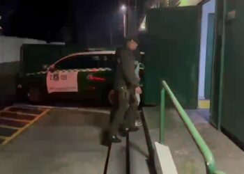 Detienen a sujeto por tráfico de drogas y otros delitos en Ñuble.