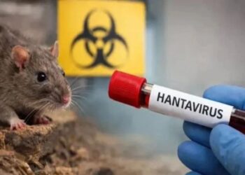 Quinto caso de Hantavirus en la región de Ñuble.