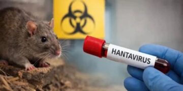 Quinto caso de Hantavirus en la región de Ñuble.