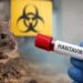Quinto caso de Hantavirus en la región de Ñuble.