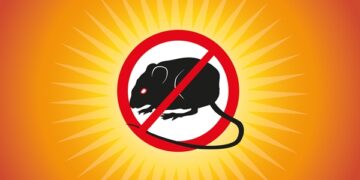 Nuevo caso de virus hanta con resultado de muerte en Ñuble.