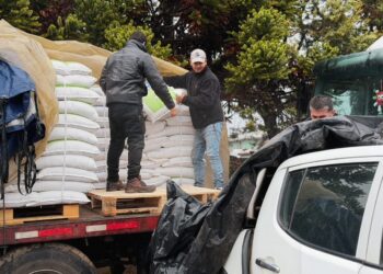 INDAP Ñuble inicia entrega de capital de trabajo con inversión de $1.500 millones para 7.500 agricultores