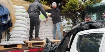 INDAP Ñuble inicia entrega de capital de trabajo con inversión de $1.500 millones para 7.500 agricultores