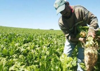 MINISTERIO DE AGRICULTURA SOSTUVO REUNIÓN CLAVE PARA PRESENTAR ALTERNATIVAS PRODUCTIVAS A AGRICULTORES REMOLACHEROS.