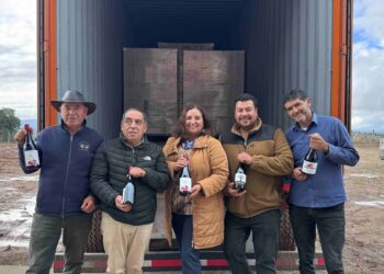 Vinos del Itata abren mercado en China con apoyo de INDAP Ñuble.