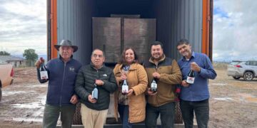 Vinos del Itata abren mercado en China con apoyo de INDAP Ñuble.