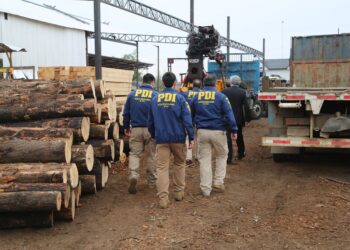 Sistema de Análisis Criminal de Fiscalía y PDI desarticulan la mayor asociación delictiva dedicada al robo de madera en Ñuble.