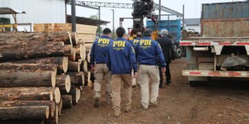 Sistema de Análisis Criminal de Fiscalía y PDI desarticulan la mayor asociación delictiva dedicada al robo de madera en Ñuble.
