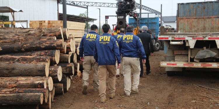 Sistema de Análisis Criminal de Fiscalía y PDI desarticulan la mayor asociación delictiva dedicada al robo de madera en Ñuble.